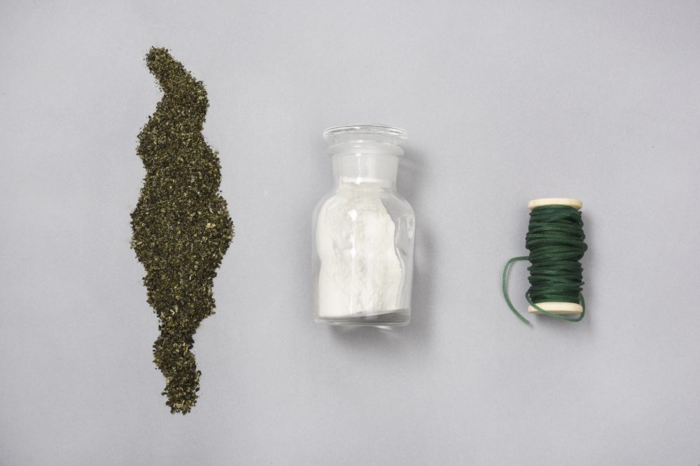 Tranformation of Seaweed
