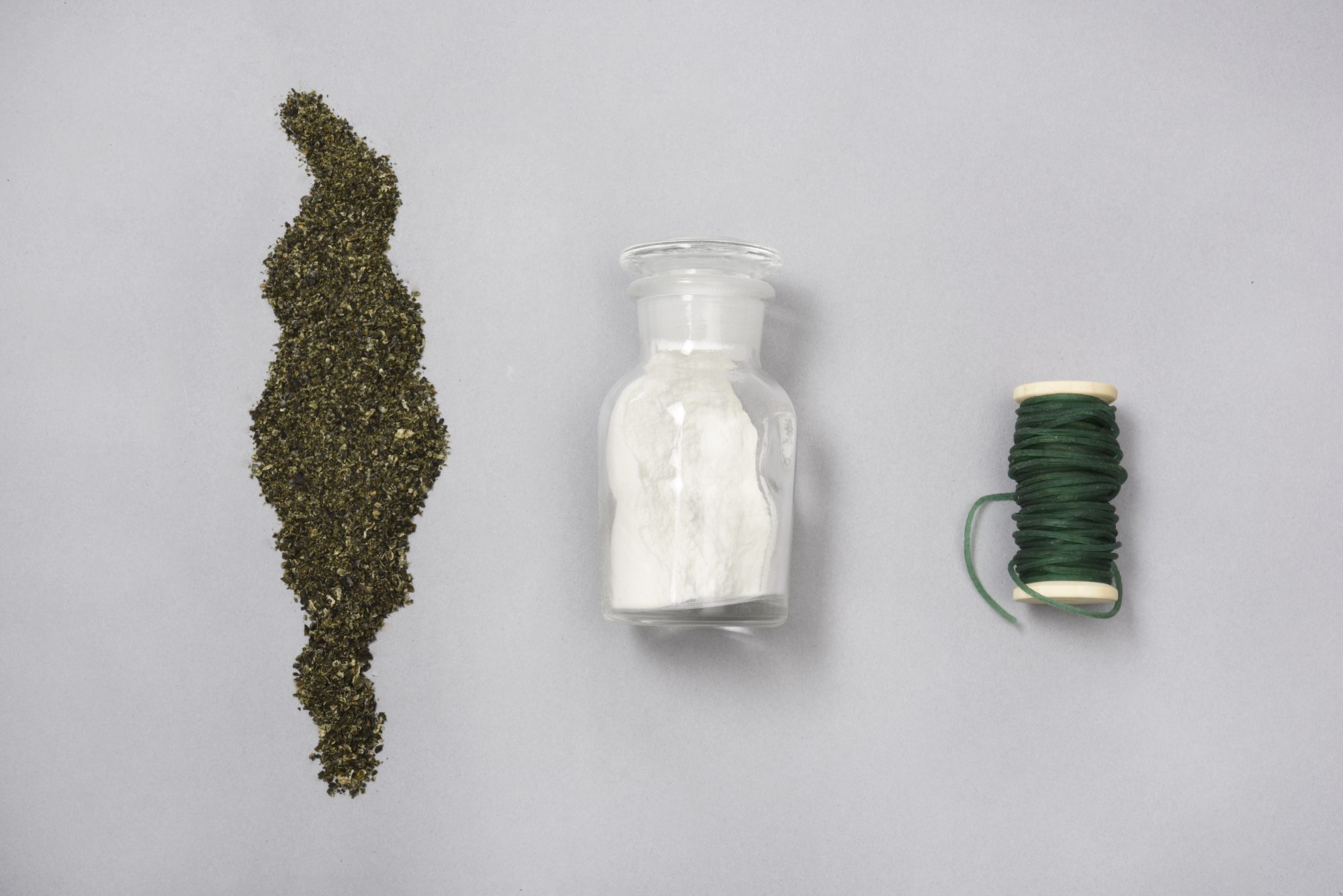 Transformation of Seaweed