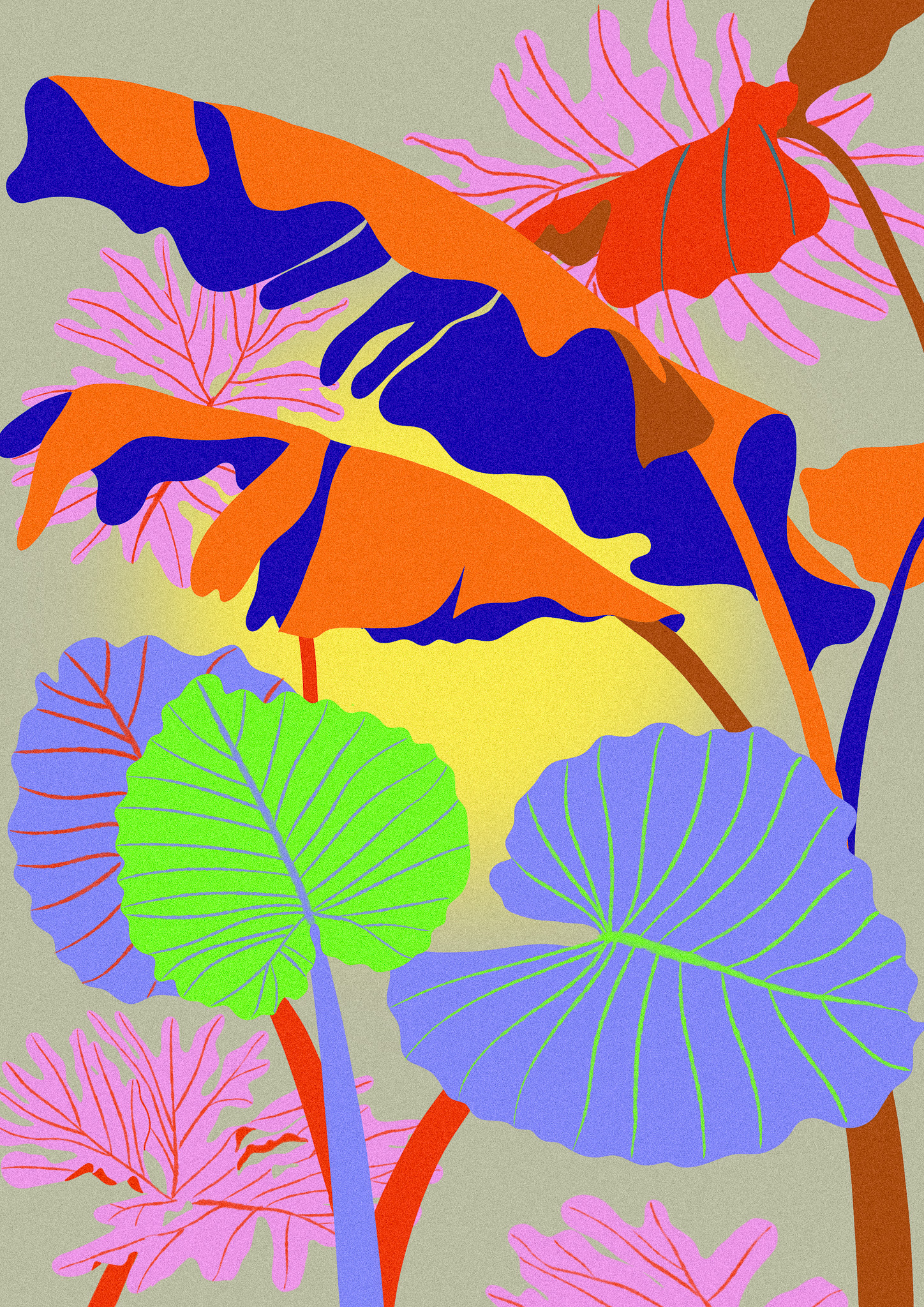 Colors of Mexico