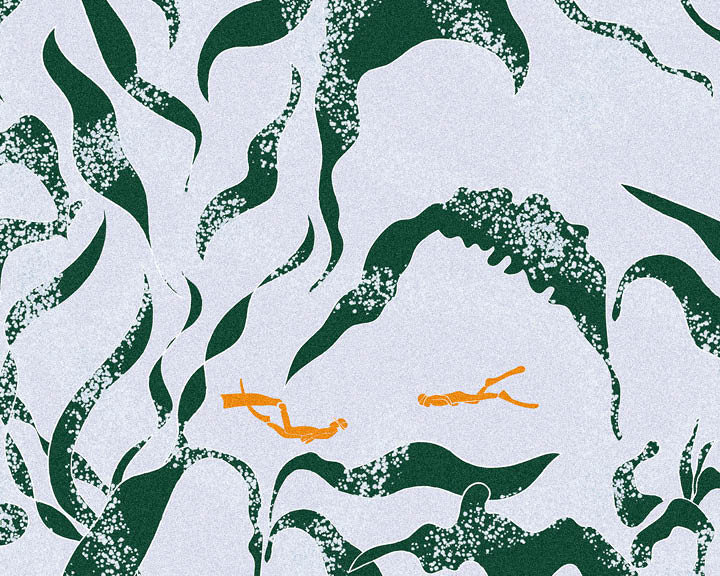 Dream of Kelp