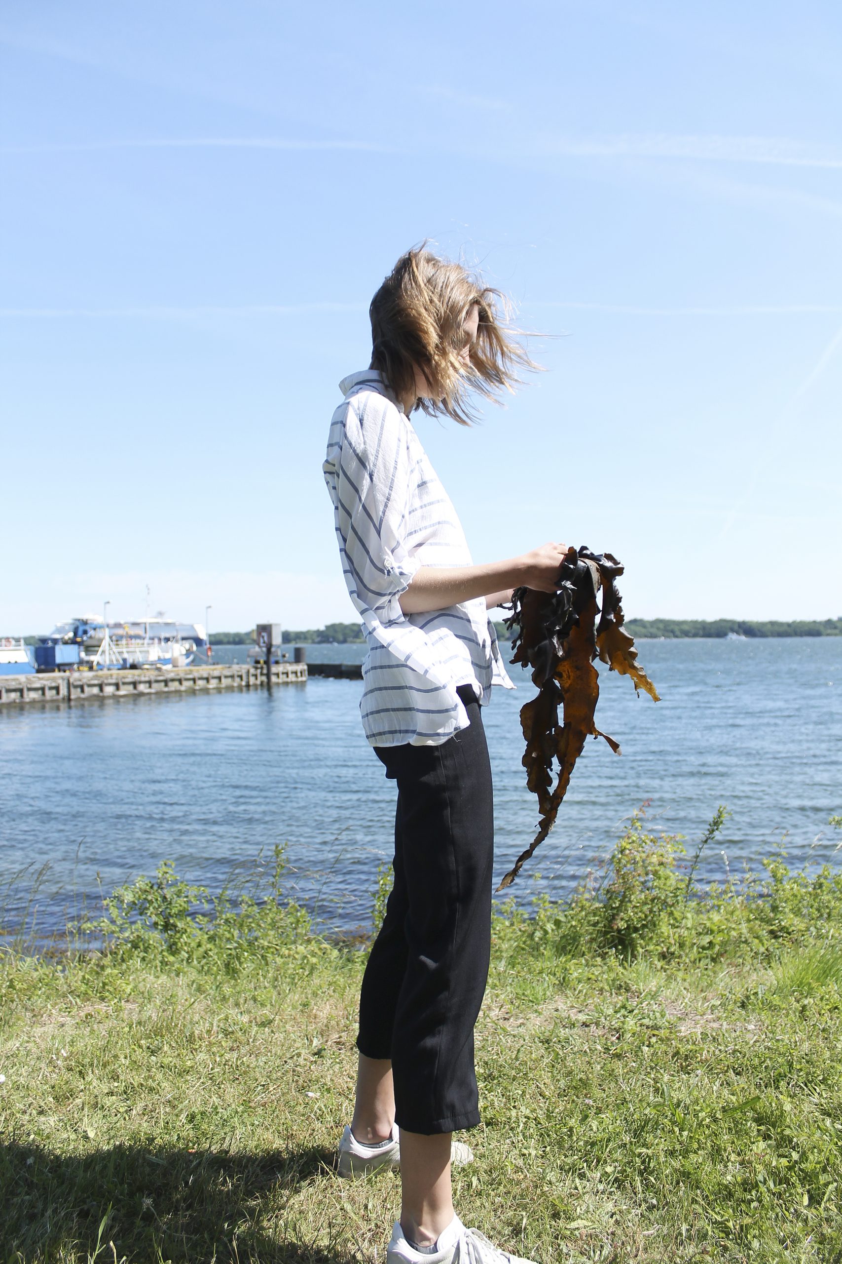 Transformation of Seaweed