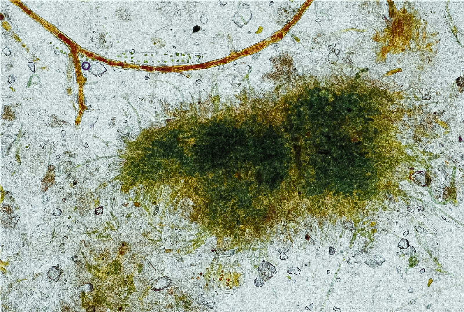Experimental Material Research & Development