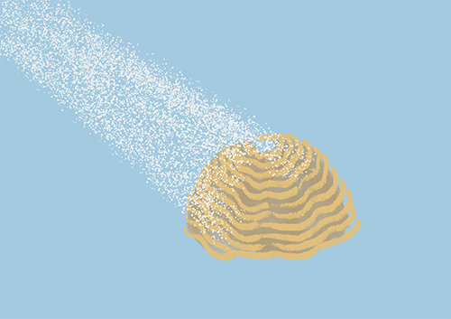 Seeding the spores in the marine nurserie